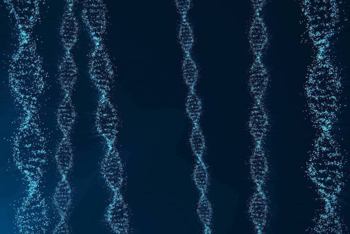 strands of DNA and presented in a digital format
