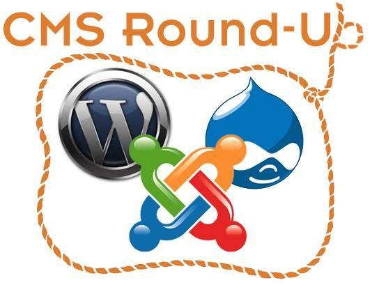 An image of a lasso around logos of prominent CMS platforms