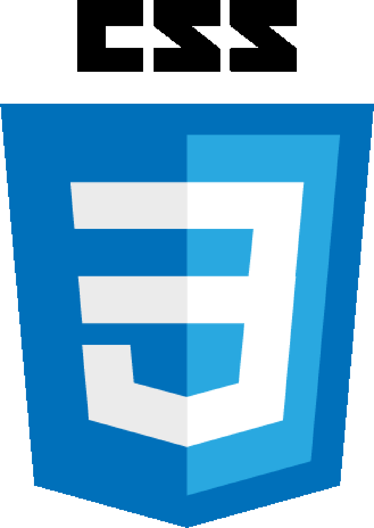 The CSS Logo
