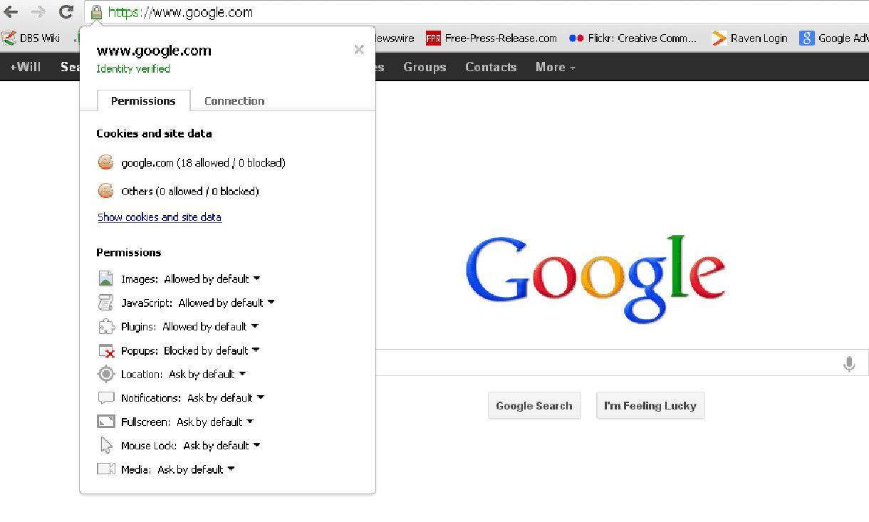Screenshot showing SSL security in the address of google search